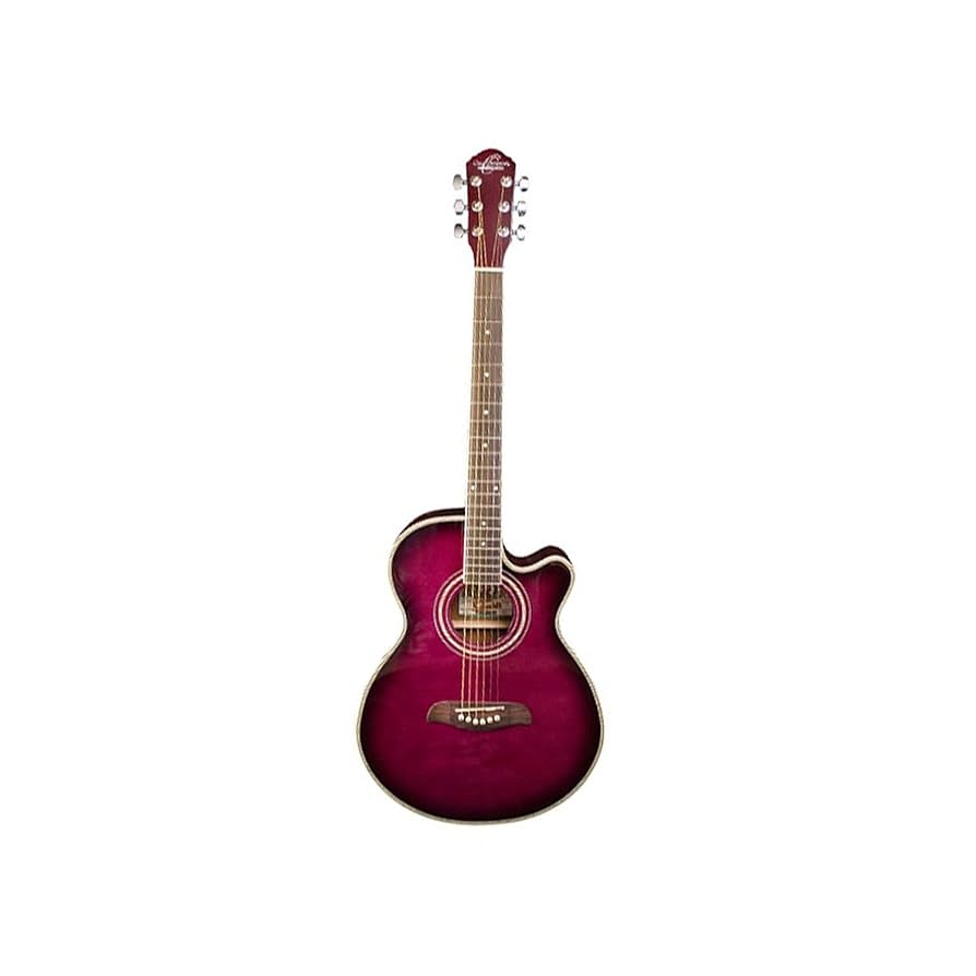 WASHBURN エレキギター パープル 6弦 エレキギター